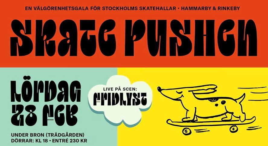 Den 28 februari anordnas Skatepushen. Foto: Skate Nation.
