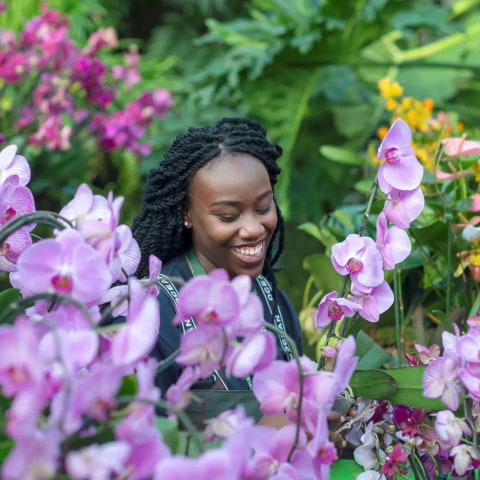 The annual Orchid Festival is back at Kew Gardens this month
