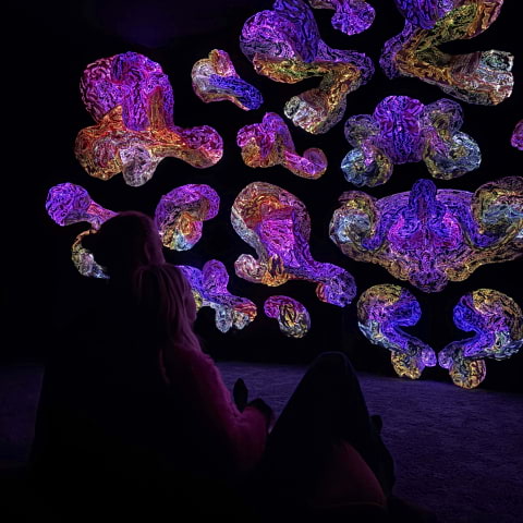 ANDETAG 1 &aring;rs jubileum - gratis intr&auml;de 3-5 feb