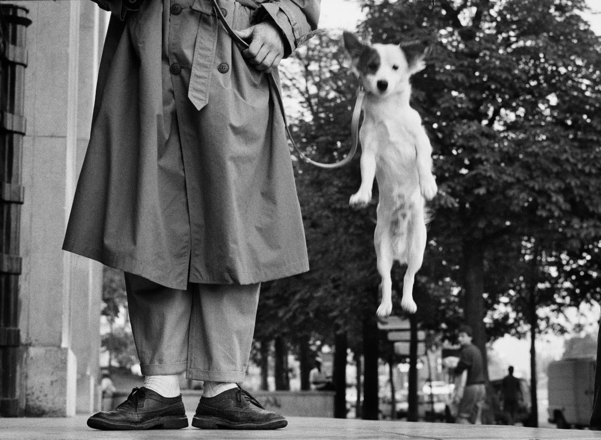 Stor Elliott Erwitt-utställning öppnar på Fotografiska – Händer i helgen