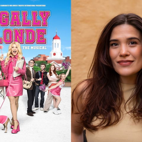 Legally Blonde blir scenmusikal &ndash; spelas p&aring; S&ouml;dra Teatern
