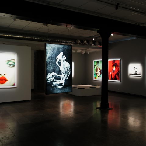 Nya konsthallen p&aring; S&ouml;dermalm vill bli tempel f&ouml;r visuella uttryck