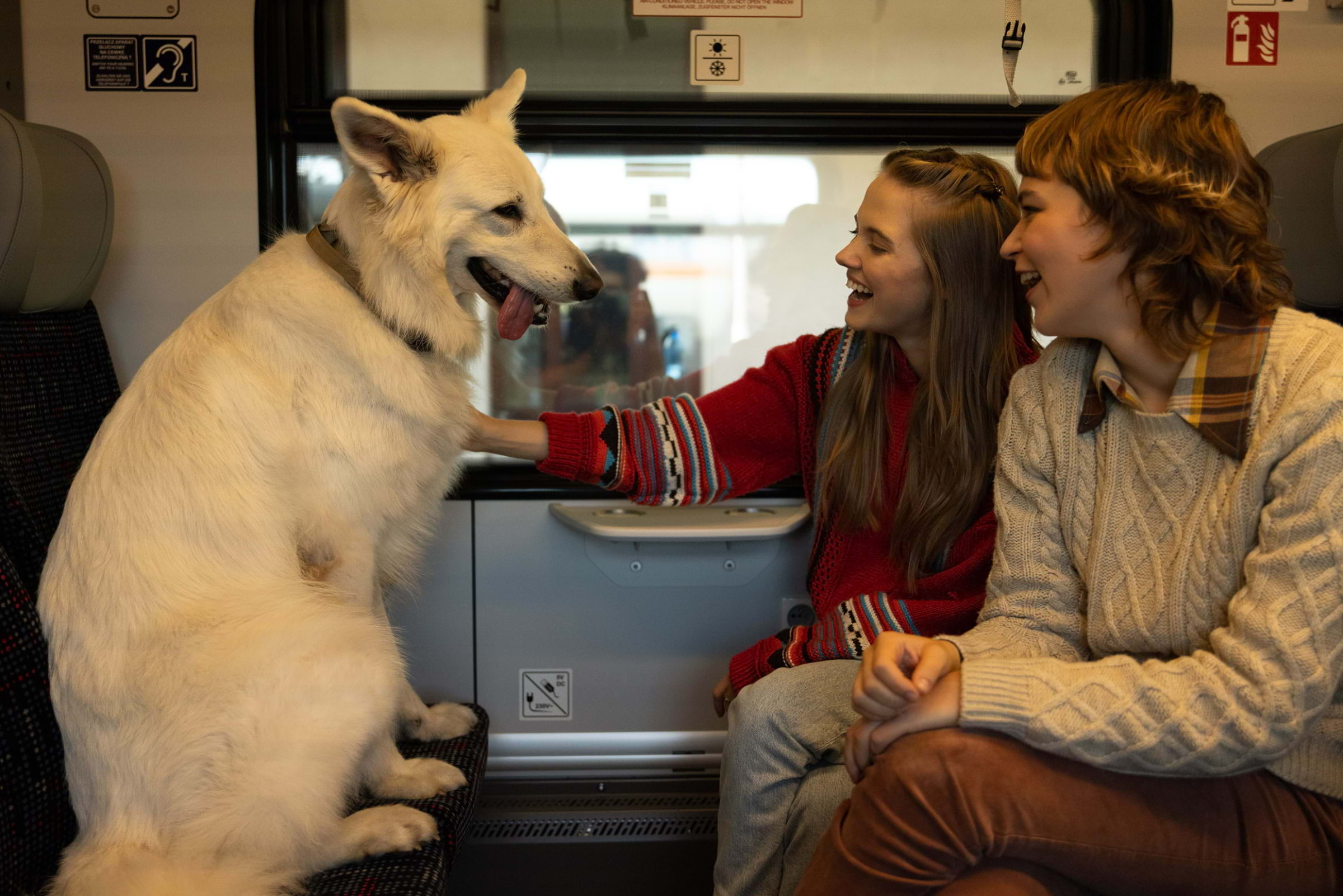 Celebrate Polish cinema at the 24th Kinoteka festival this spring