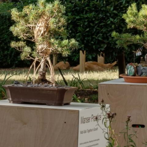 This bonsai treehouse show might be the cutest thing around this summer