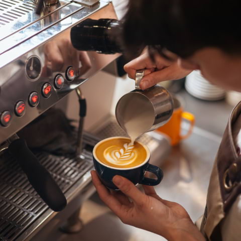 The best caf&eacute;s in Pimlico