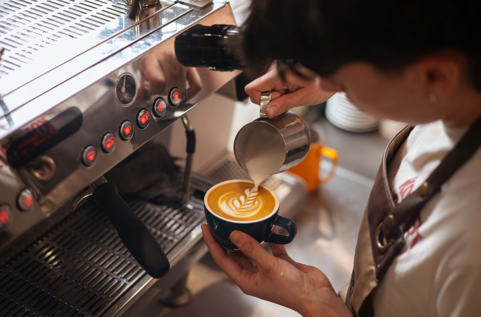 The best cafés in Pimlico