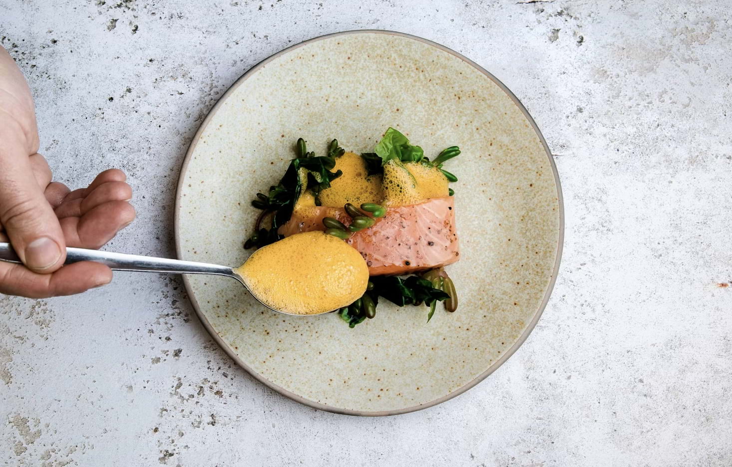 Salmon dish being expertly plated