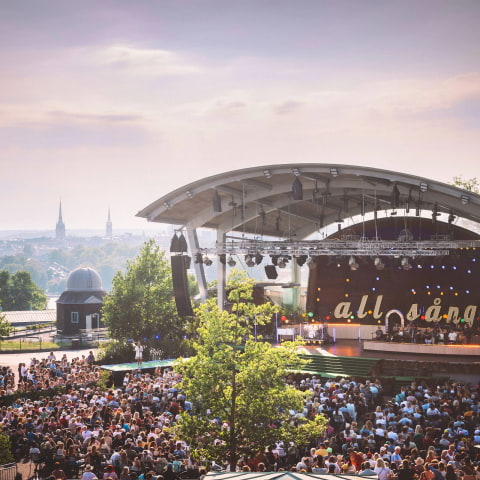 Alls&aring;ng p&aring; Skansen 2026: H&auml;r &auml;r alla artister
