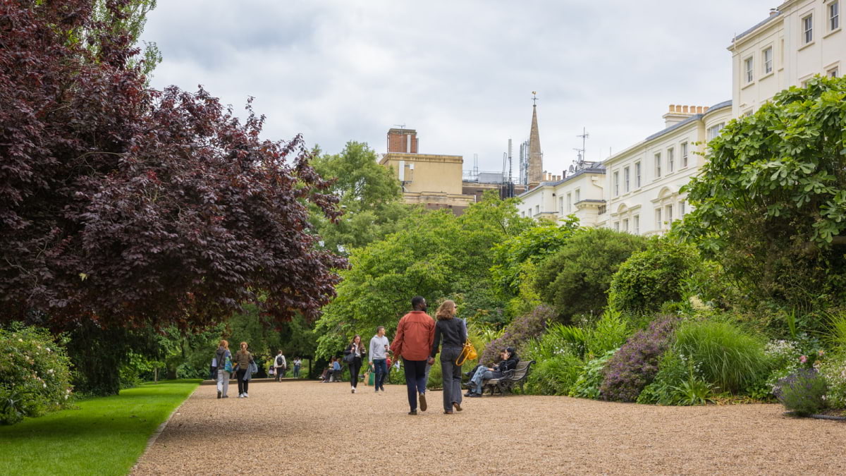 London Open Gardens: Discover the best-kept secret gardens – What to do this weekend