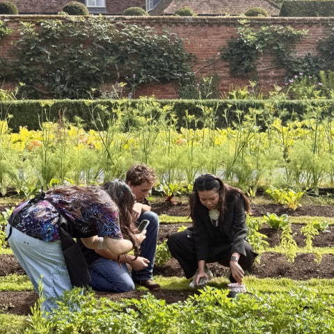 Escape London for Novikov's exclusive harvest-to-table masterclass