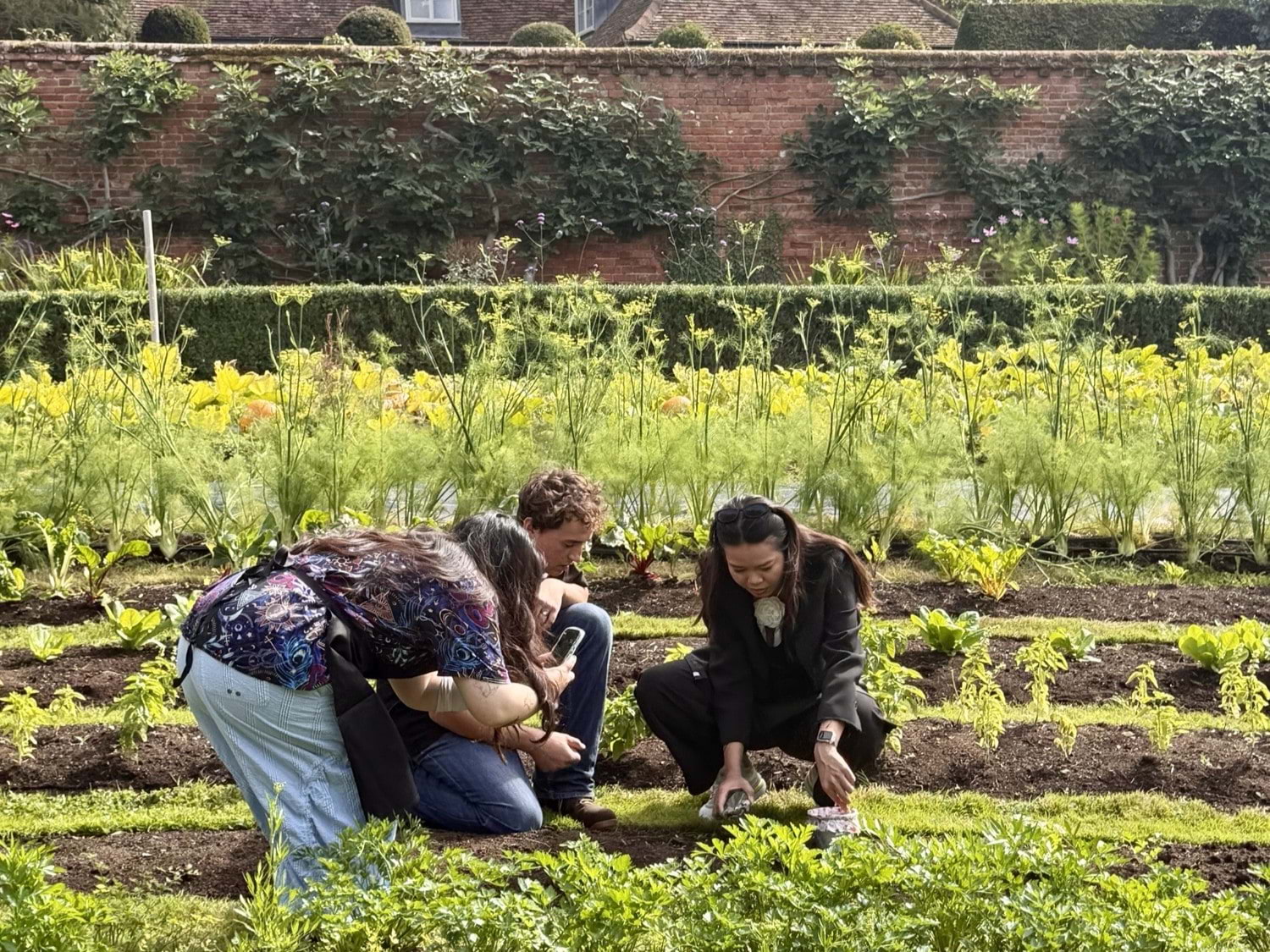 Escape London for Novikov's exclusive harvest-to-table masterclass