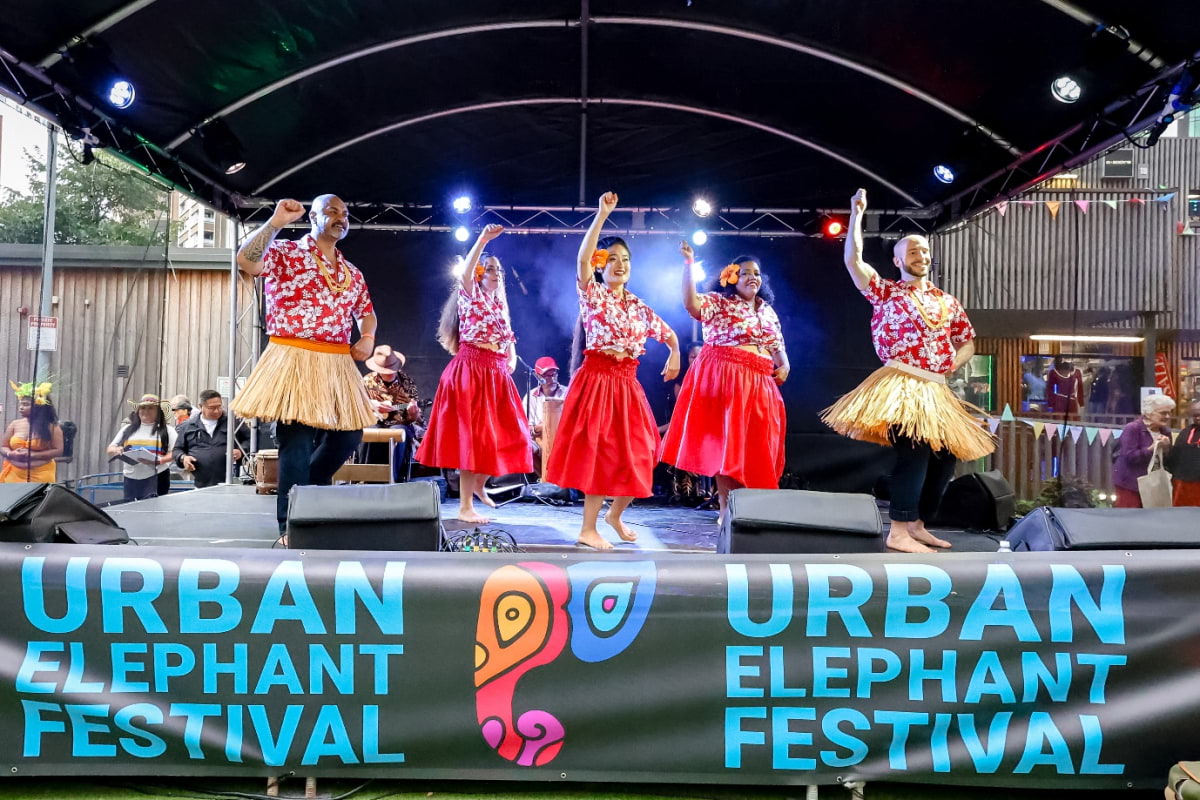 A free festival is celebrating the Elephant & Castle community this week – What to do this weekend