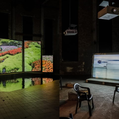 Film as Research: Looking, Nature, Myth