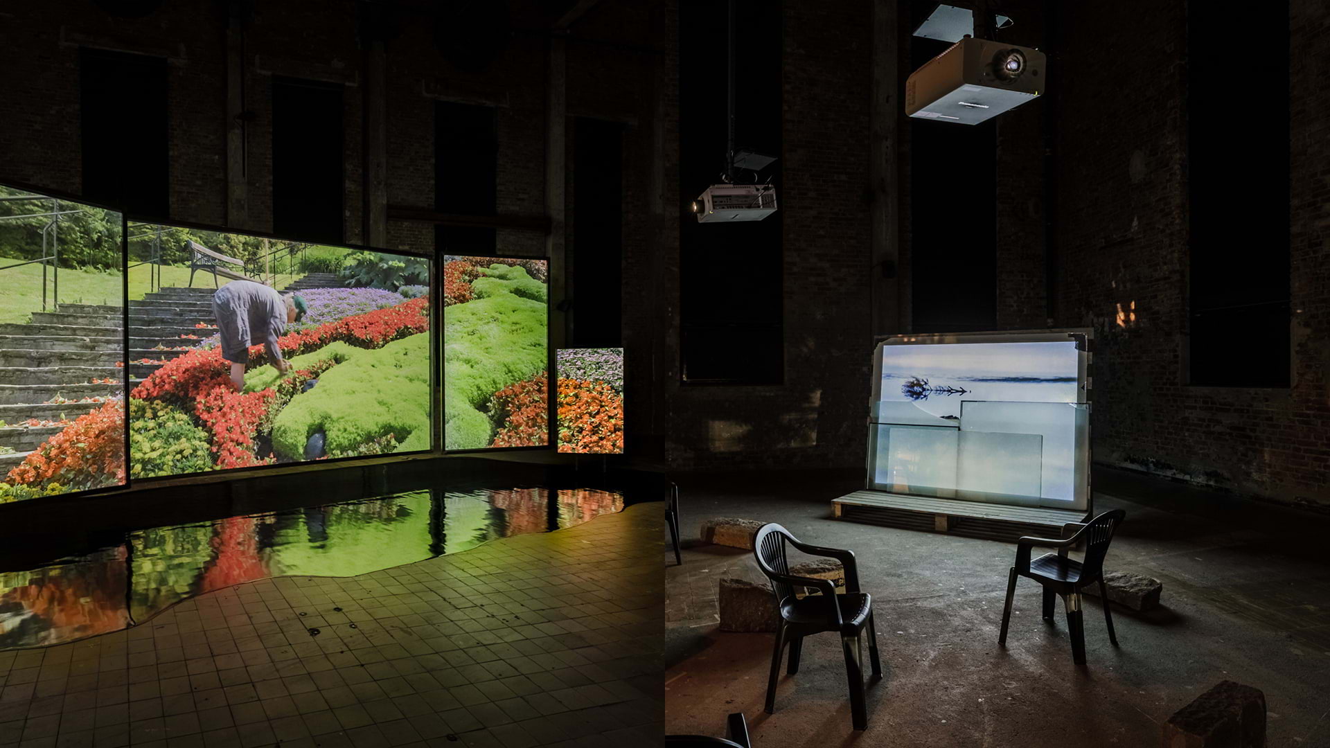 Film as Research: Looking, Nature, Myth