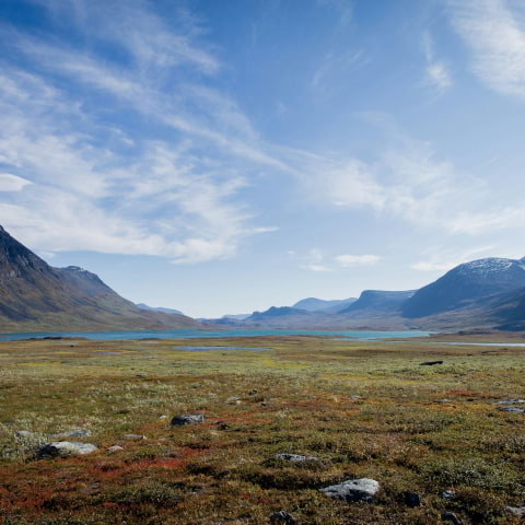 Guiden till nationalparker i Sverige