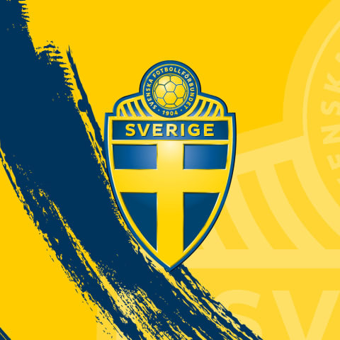 H&auml;r kan du se Sverige-Polen i den avg&ouml;rande playoff-matchen till VM