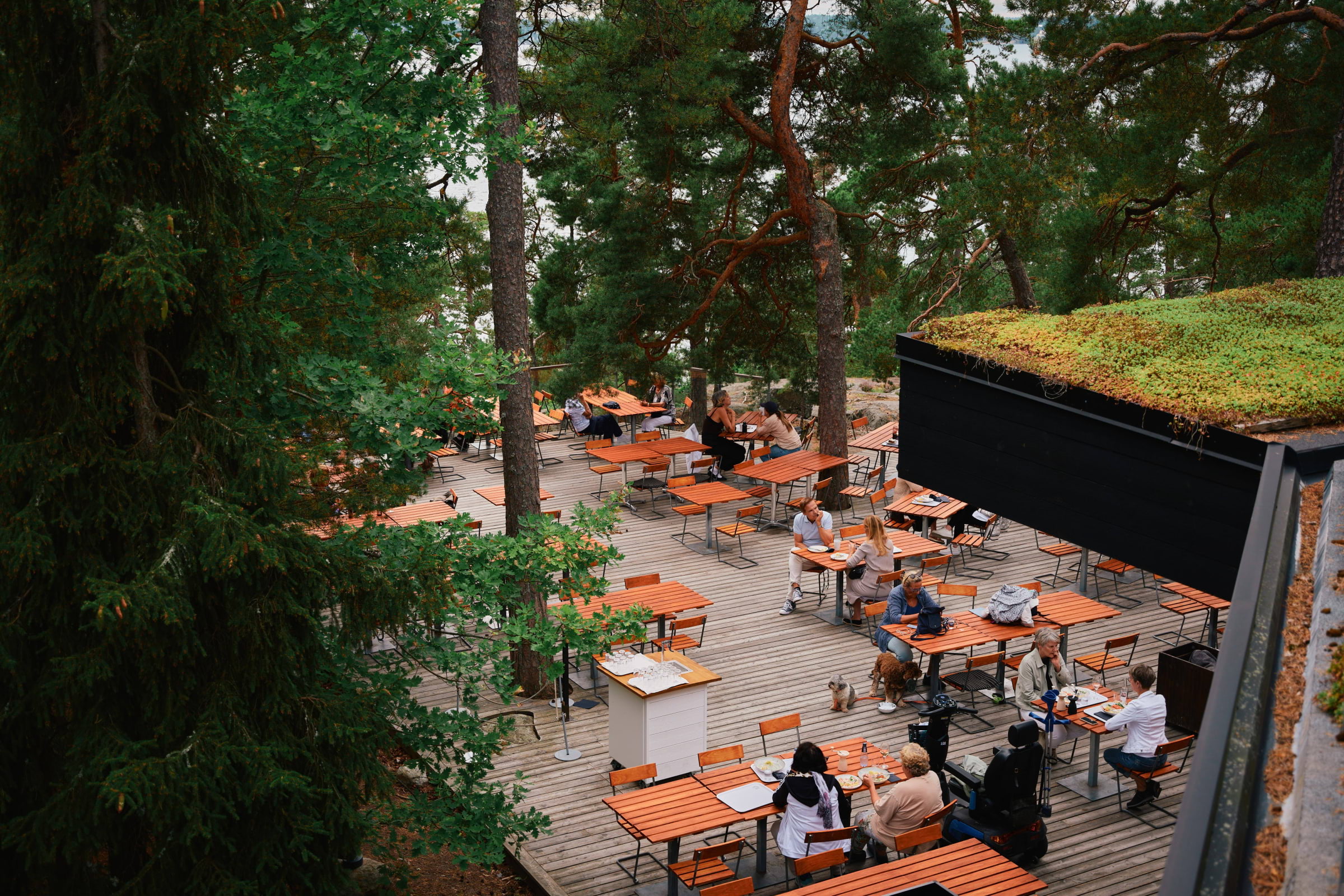 An outdoor caf&eacute; terrace by the river, surrounded by green trees