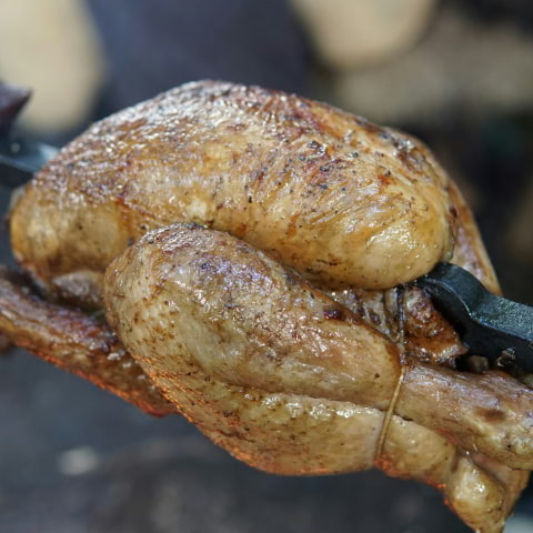 Where to eat rotisserie chicken in London