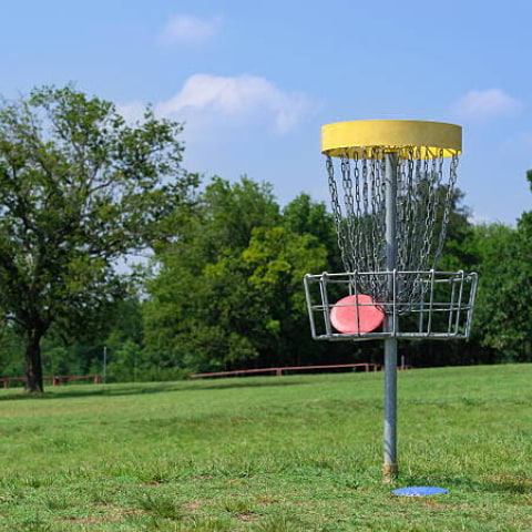 Discgolf i Slottsskogen med HejFriends