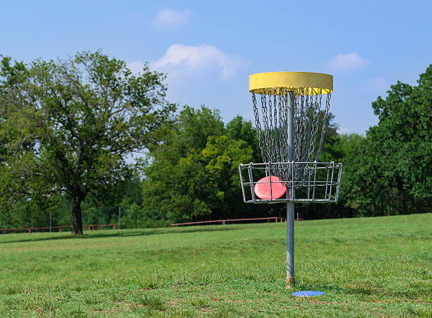 Discgolf i Slottsskogen med HejFriends