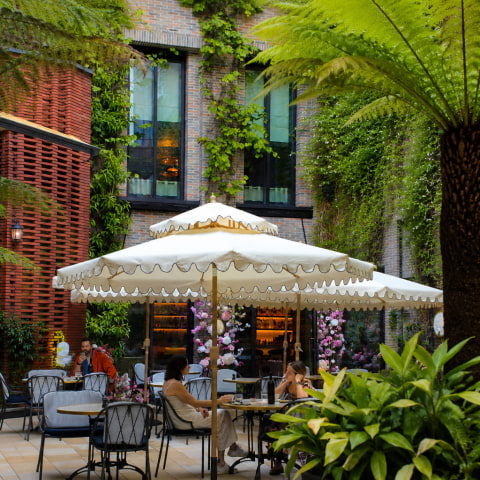 New wine event at Three Darlings on the terrace