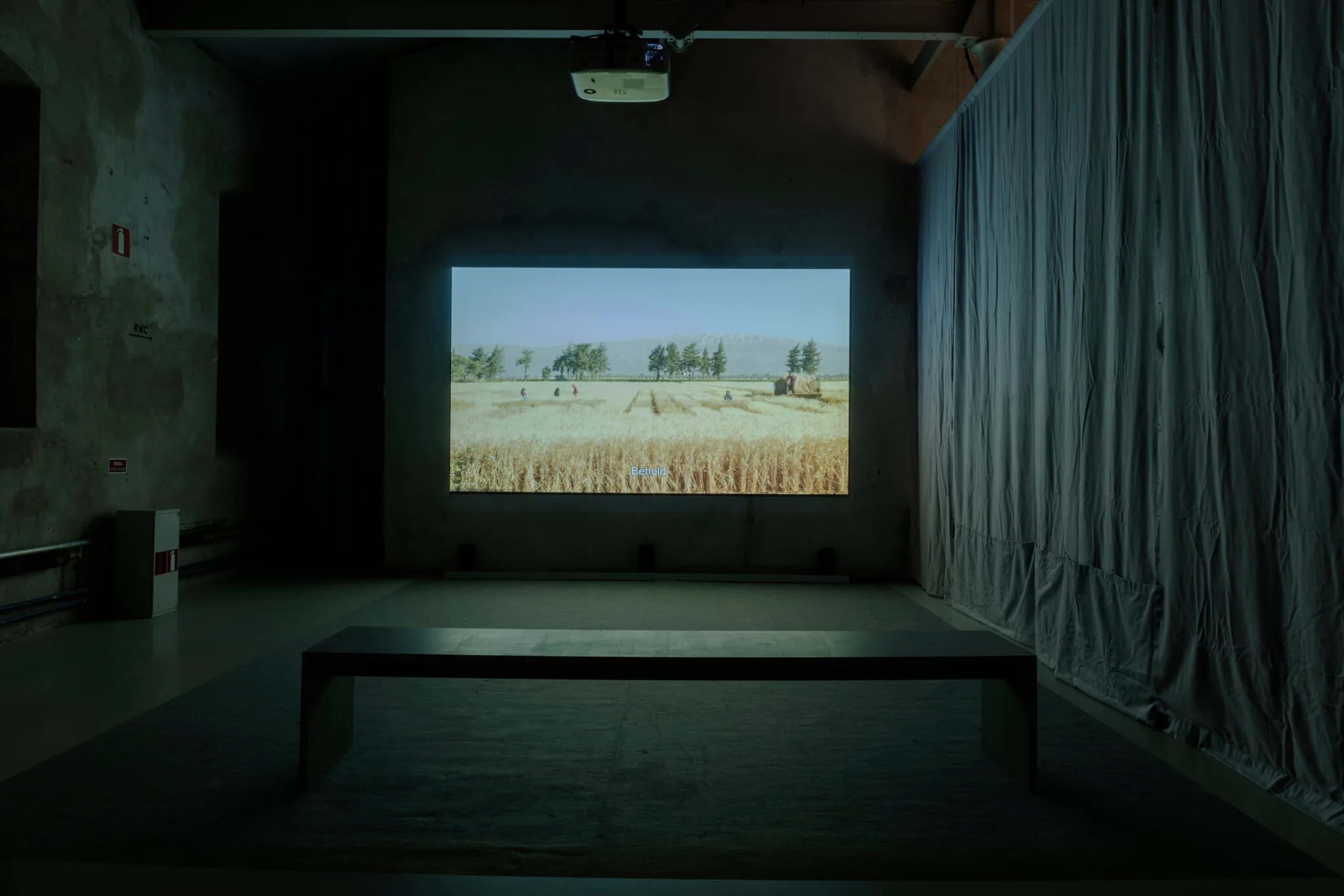 Wild Relatives – filmvisning på Färgfabriken