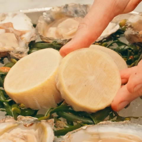 Shellfish lovers are in for a treat with Oyster Hour at Manzi's