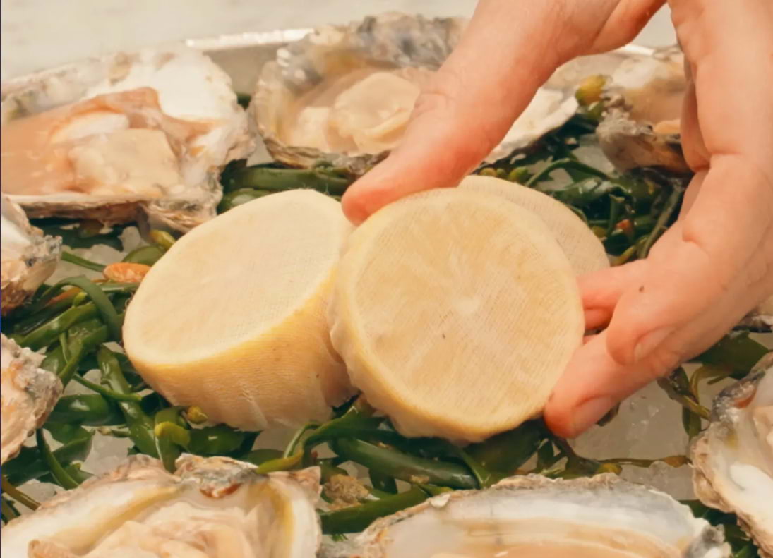 Shellfish lovers are in for a treat with Oyster Hour at Manzi's