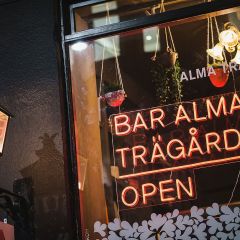 Alma Trägårdh