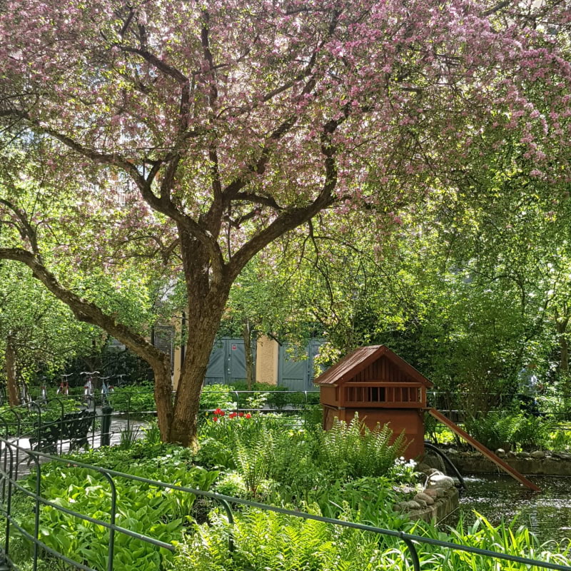 Garden Inspiration  – Bild från Centralbadet av Grazyna F.