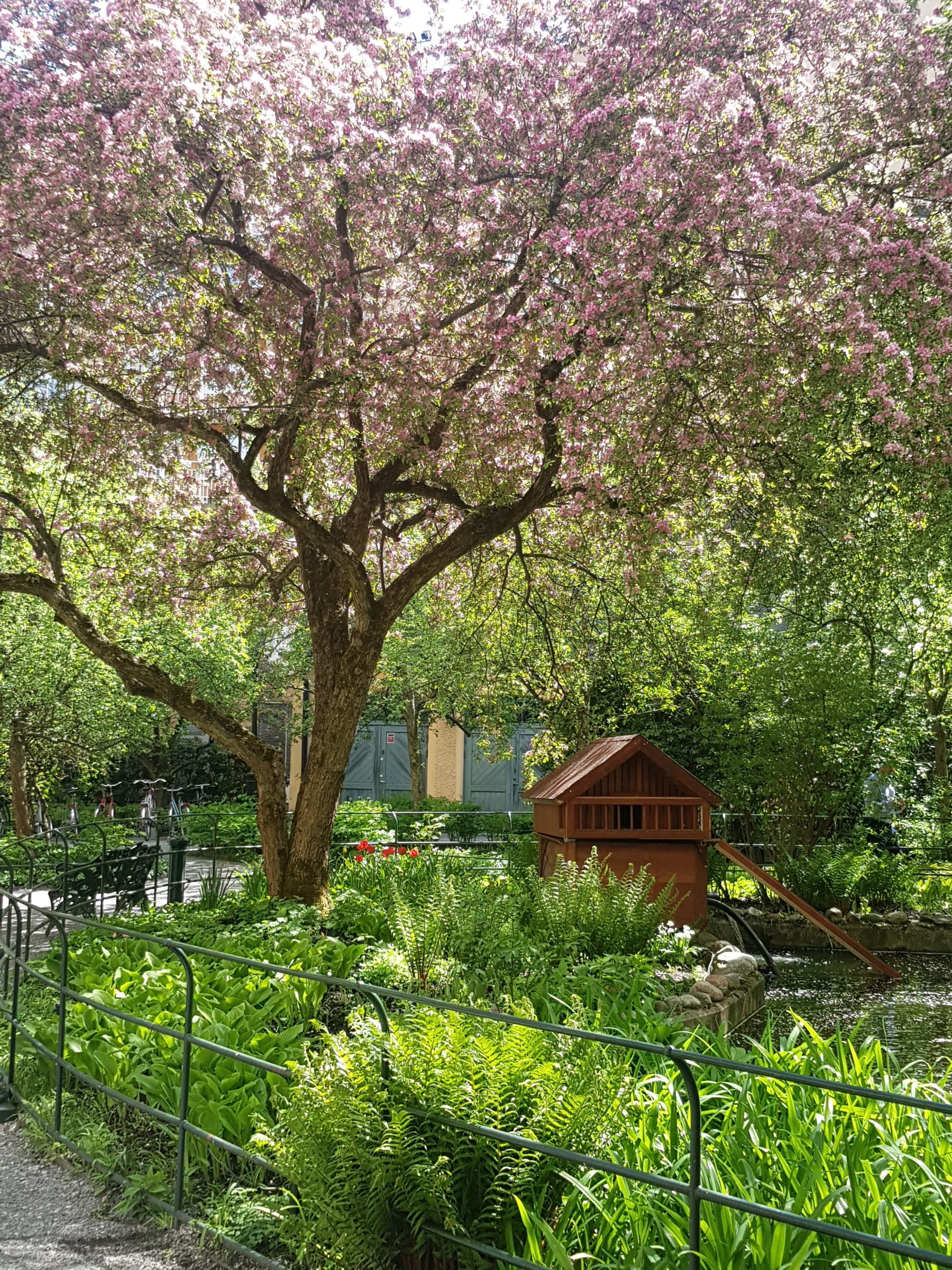 Garden Inspiration  – Bild från Centralbadet av Grazyna F. (2021-05-26)