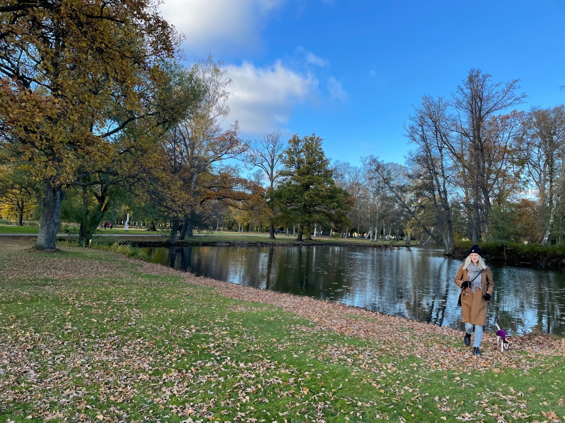 Parken passar perfekt för långa hundpromenader. - Bild från Drottningholms slottspark av Emmi A.