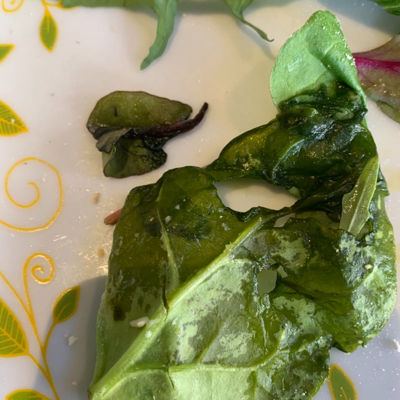 Salladen i en av deras ”färska” frallor – Bild från Evas Paley av Frida C. (2021-05-20)