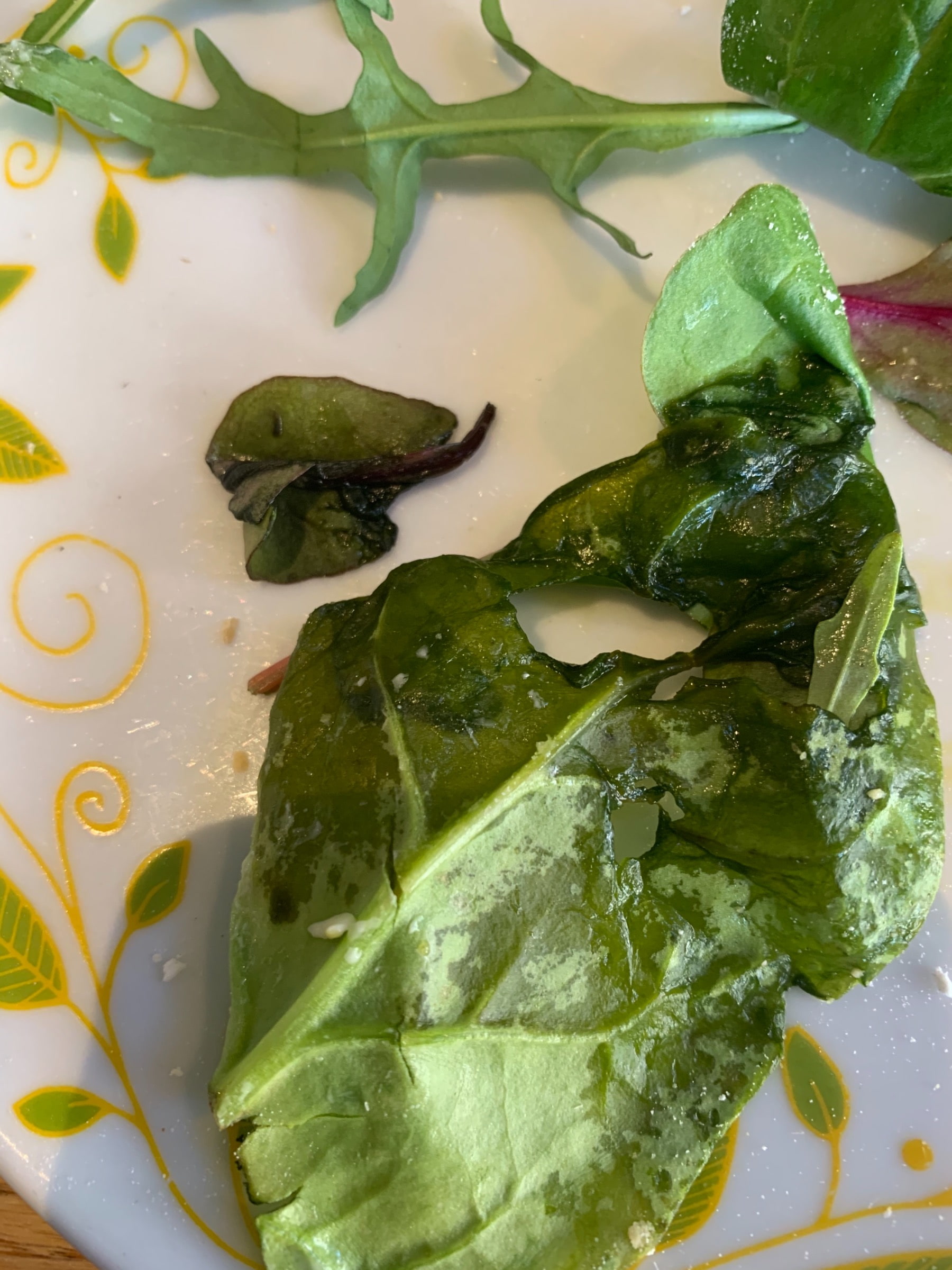 Salladen i en av deras ”färska” frallor – Bild från Evas Paley av Frida C. (2021-05-20)