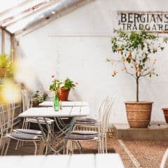 Gamla Orangeriet Restaurang & Café