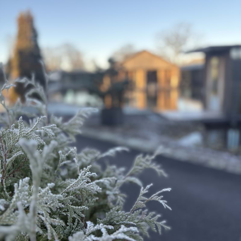 Photo from Ästad Vingård by Catrin M. (18/11/2025)