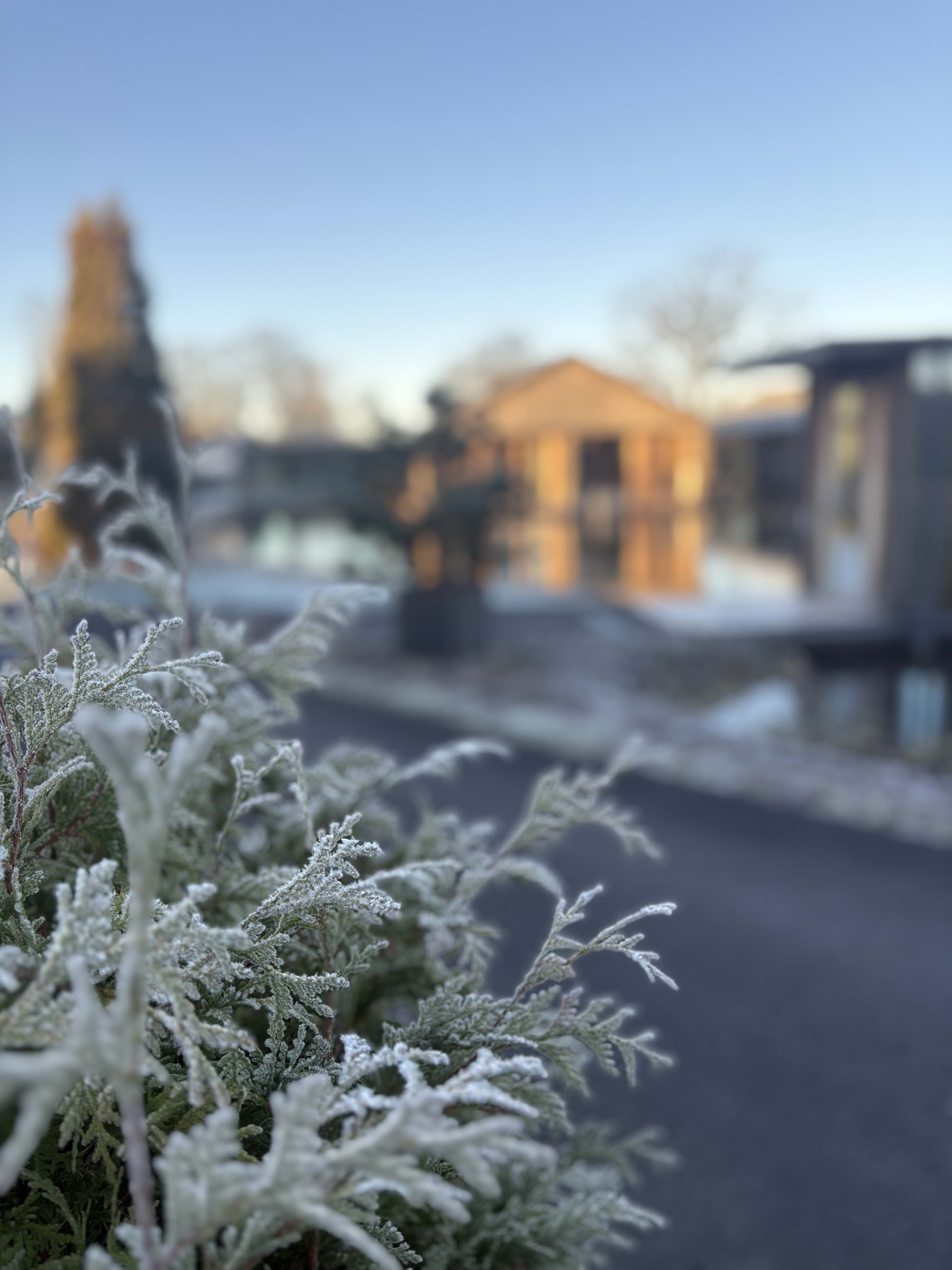 Bild från Ästad Vingård av Catrin M. (2025-11-18)