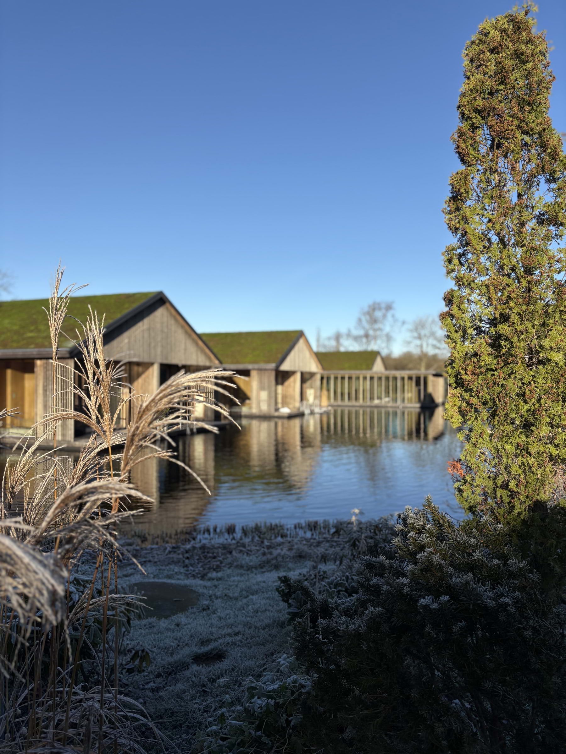 Photo from Ästad Vingård by Catrin M. (18/11/2025)