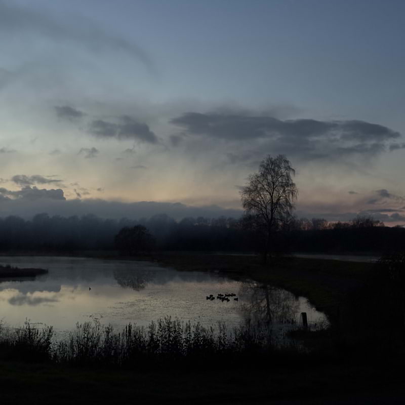 Photo from Ästad Vingård by Catrin M. (18/11/2025)