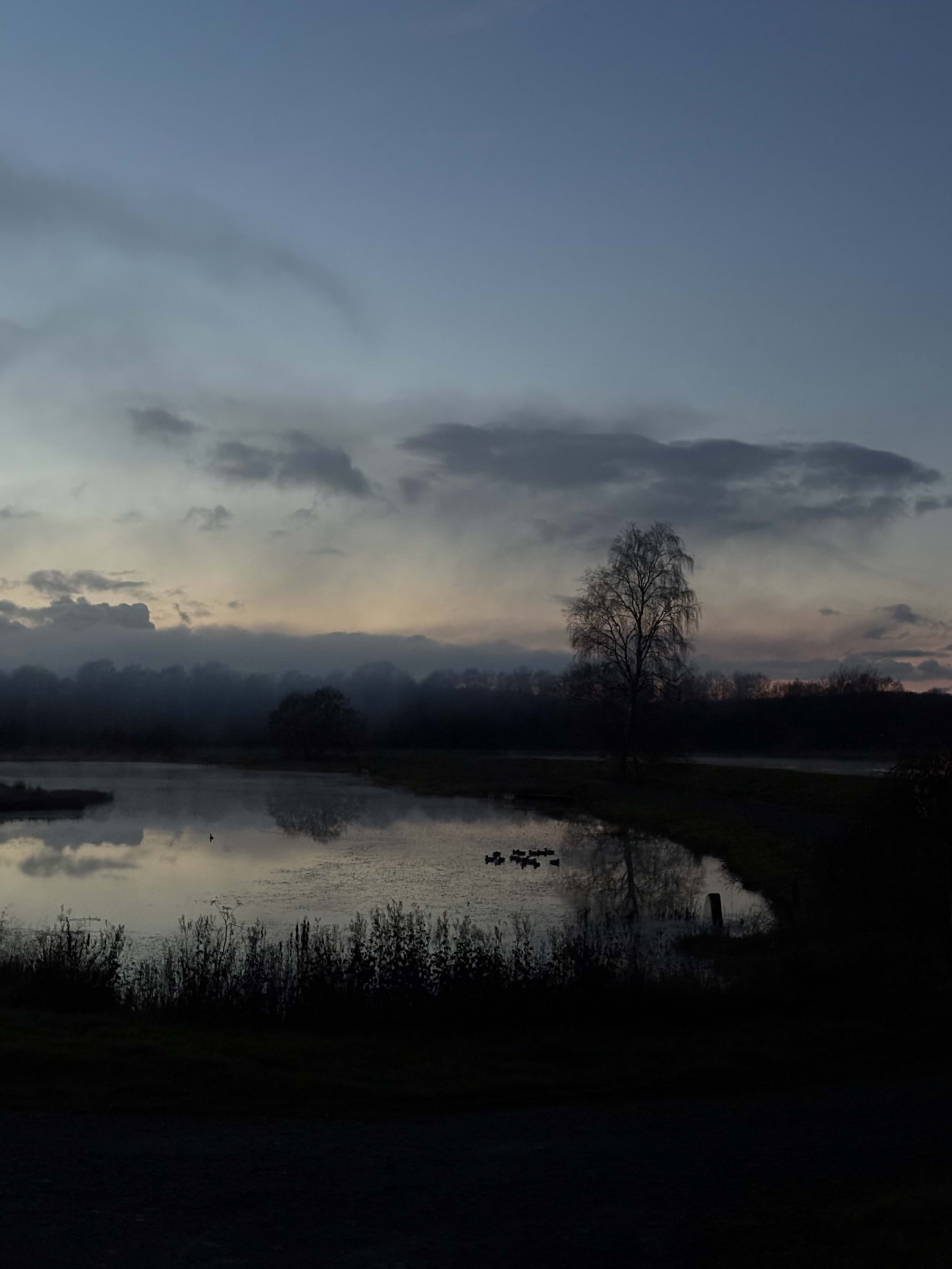 Photo from Ästad Vingård by Catrin M. (18/11/2025)