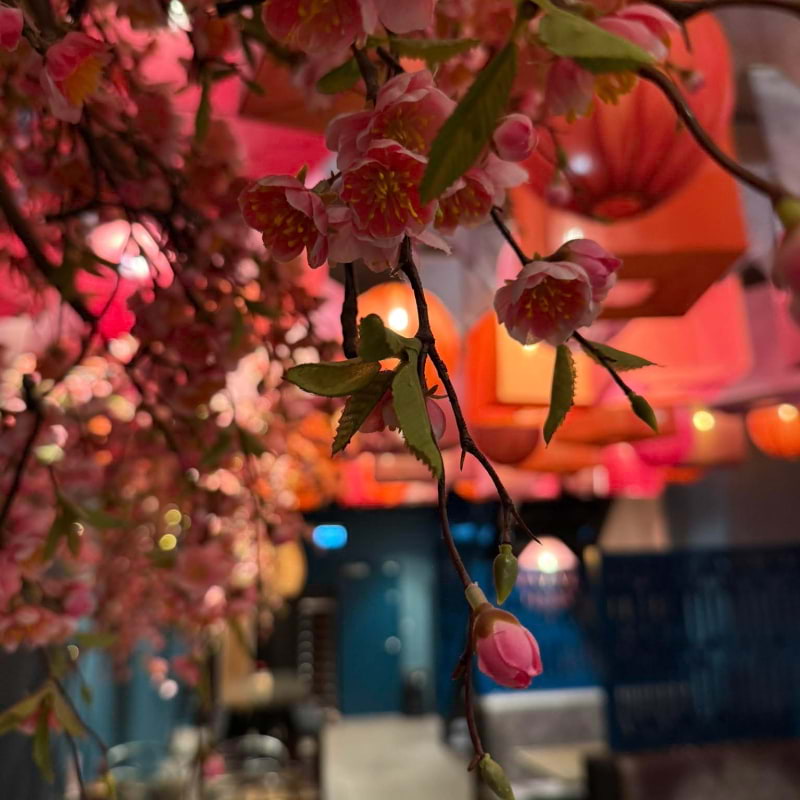 Bild från Yomo Karlstad av Julia P. (2025-10-16)