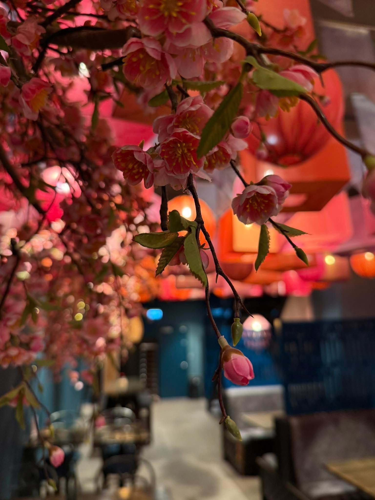 Bild från Yomo Karlstad av Julia P. (2025-10-16)