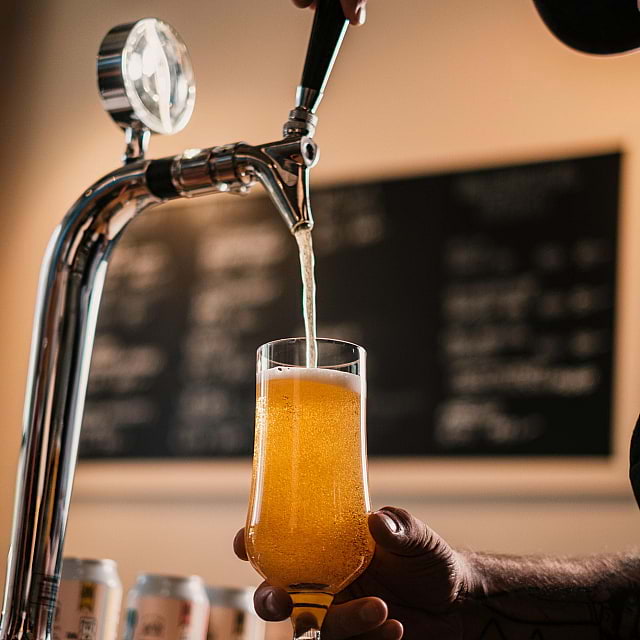 BeerNFries