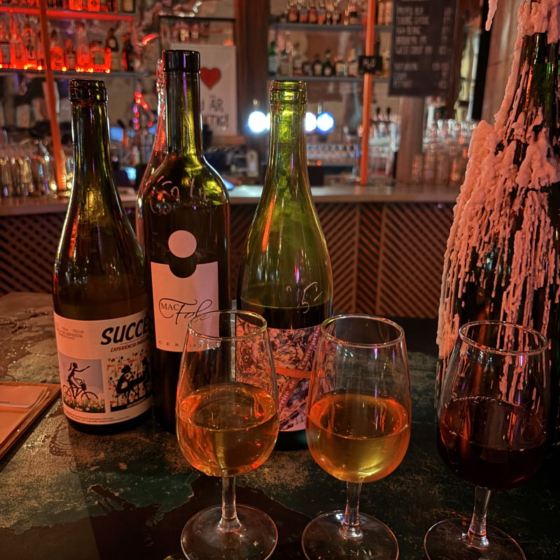 Naturvinsafari – Photo from Folk by Lisa M. (17/10/2025)