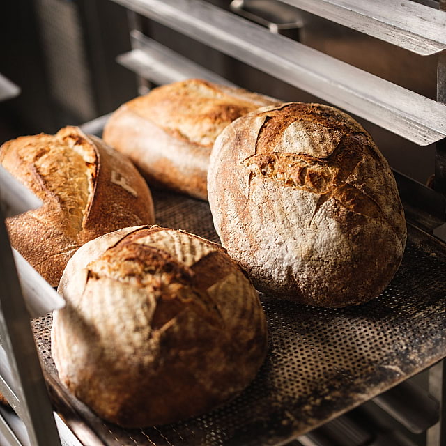 Folket på Garveriet