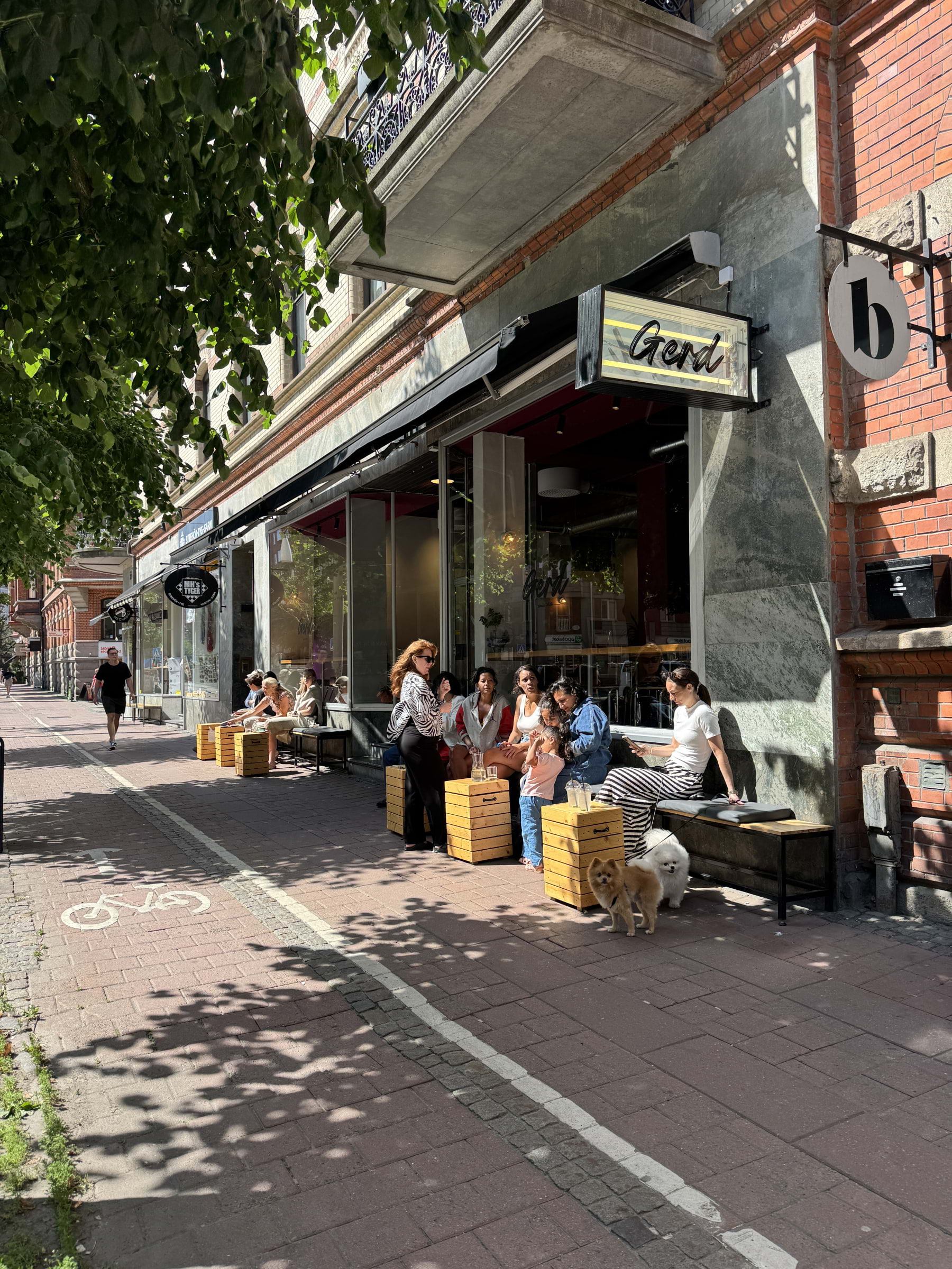 Photo from Gerd by Arash S. (29/07/2025)