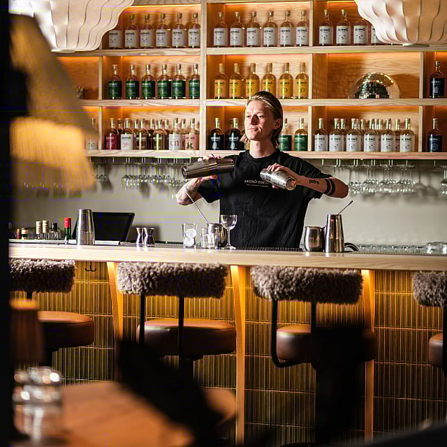 Hern&ouml; Gin Bar G&ouml;teborg