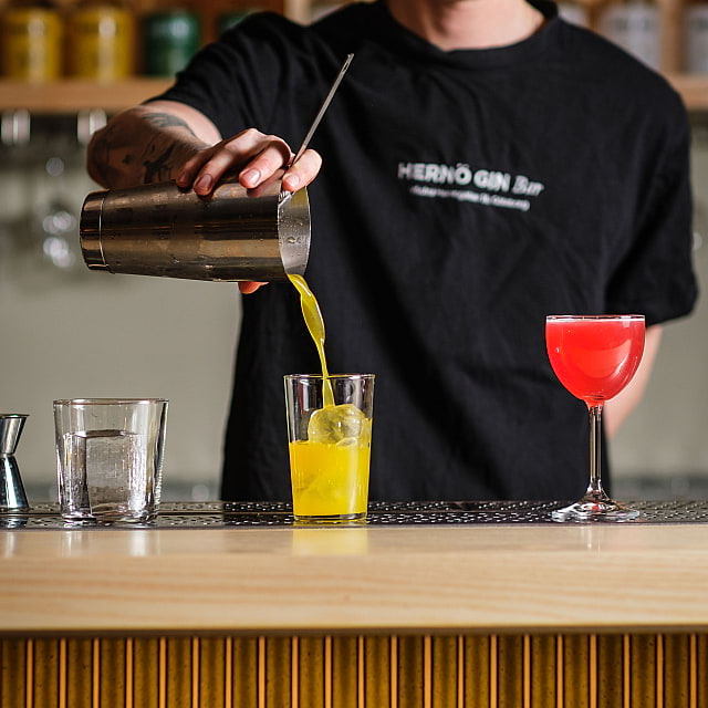 Hern&ouml; Gin Bar G&ouml;teborg