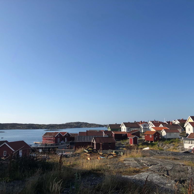 Photo from Käringön by Ida B. (25/08/2023)
