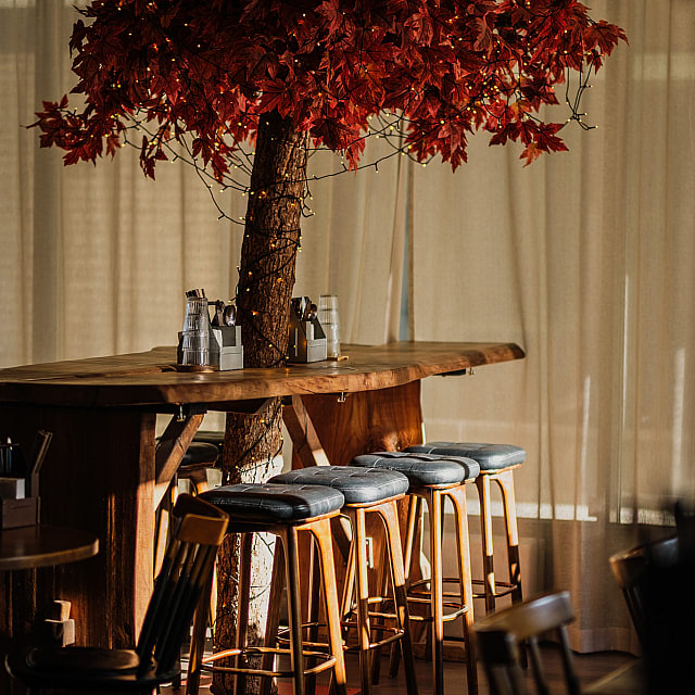 Kizuna Mölndalsvägen